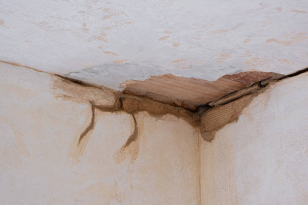 Best Flooded house restoration  in Upland, CA