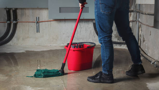 Best Mold removal after water damage  in Upland, CA