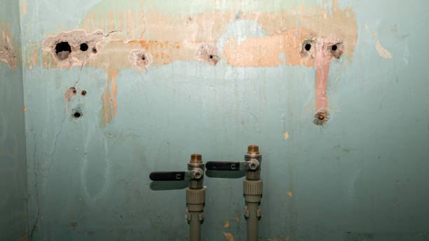 Best Water damage cleanup near me  in Upland, CA