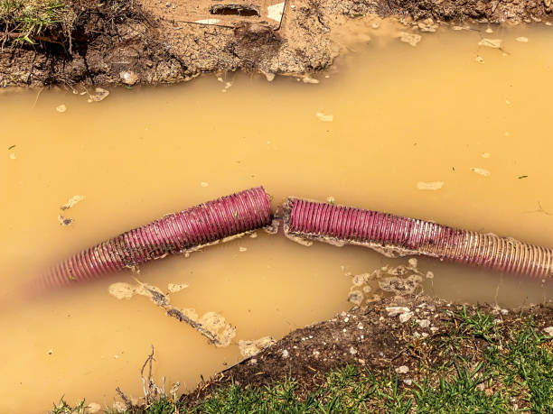 Best Carpet water damage restoration  in Upland, CA