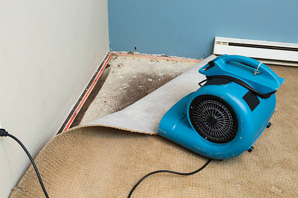  Upland, CA Water damage restoration Pros